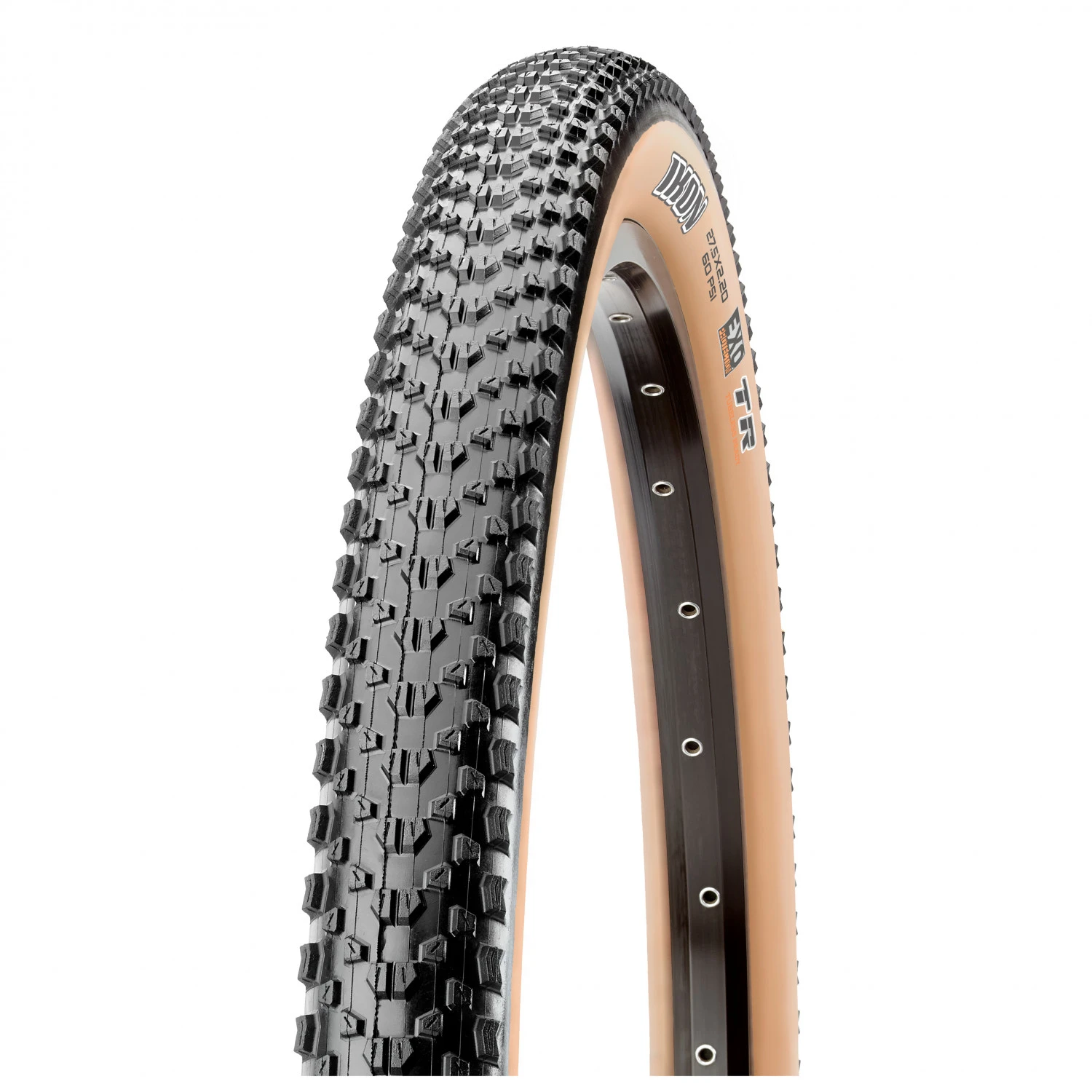 Maxxis - Ikon Tanwall 29'' (57-622) Dual EXO - Cyclocross Tyre 3 Maxxis - Ikon Tanwall 29'' (57-622) Dual EXO - Cyclocross Tyre