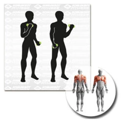 Schildkröt Fitness - Soft-Hanteln Aerobic-Hanteln - Functional Training -Continental Sport schildkroet fitness soft hanteln aerobic hanteln functional training detail 3